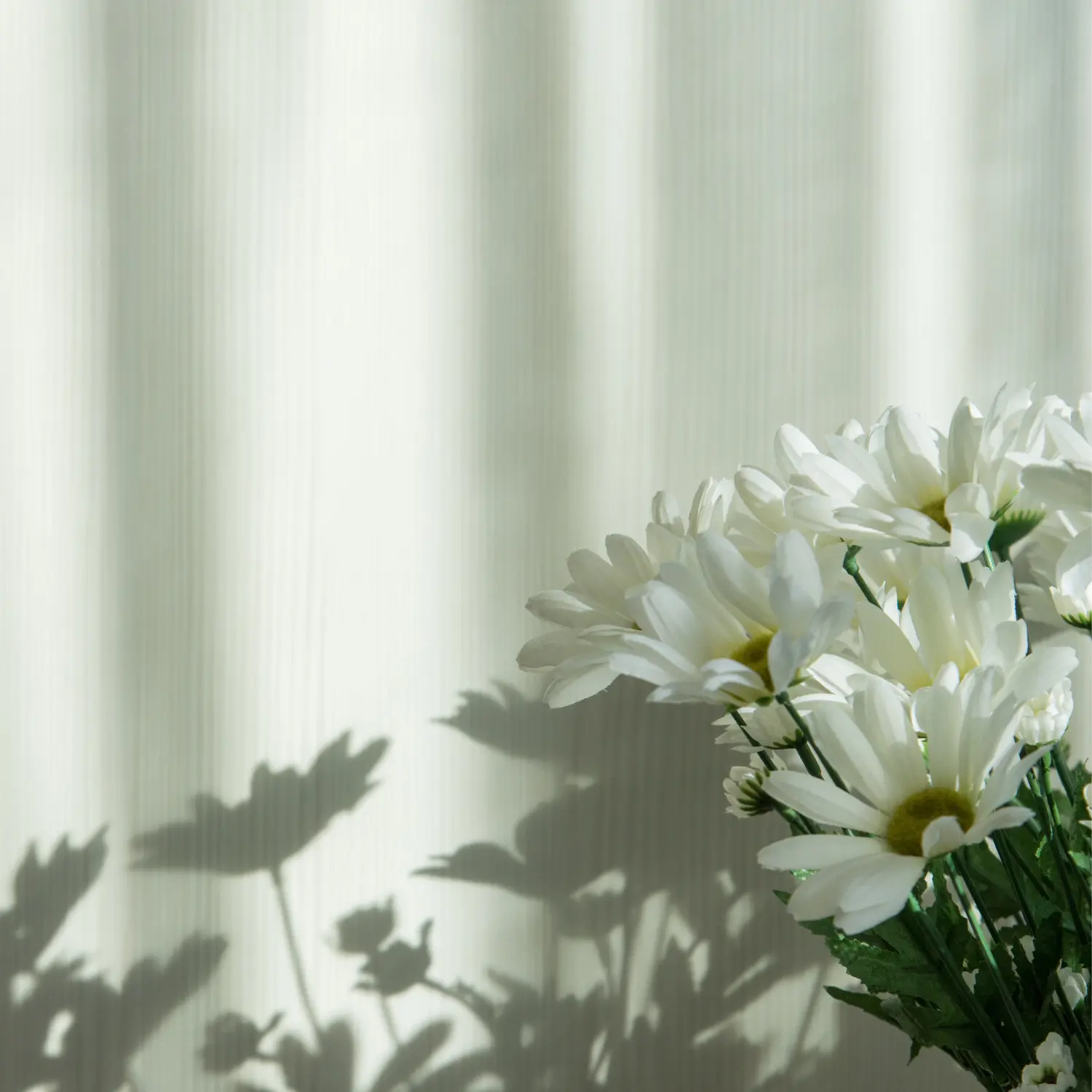 gallery footer 4.webp